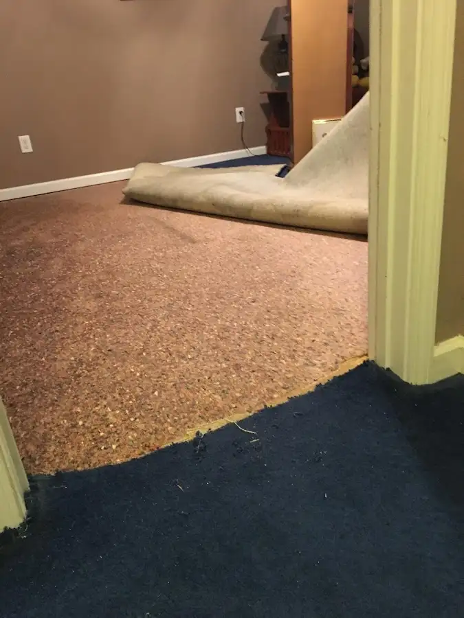 Carpet pad removal revealing water damage during Drying & Dehumidification in Haddonfield