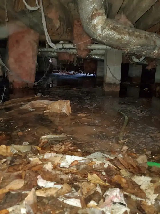 Crawl space flood assessment for Leak Detection & Repair in Haddonfield
